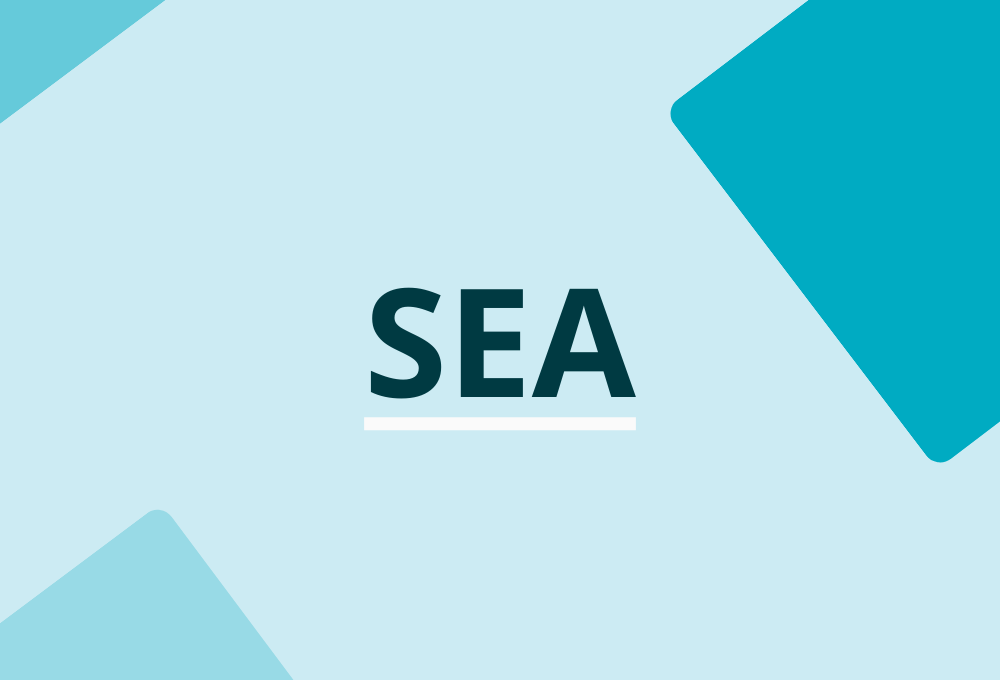 Adverteer in Google en Bing met SEA van FCR Media