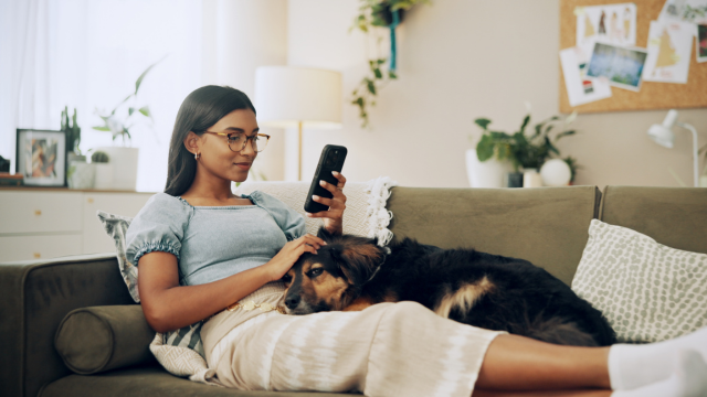 Découvrez tout ce qu'il faut savoir sur le display advertising pour les PME dans ce blog.